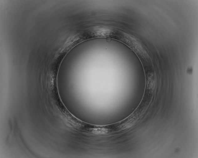 X0000096160363200801181230