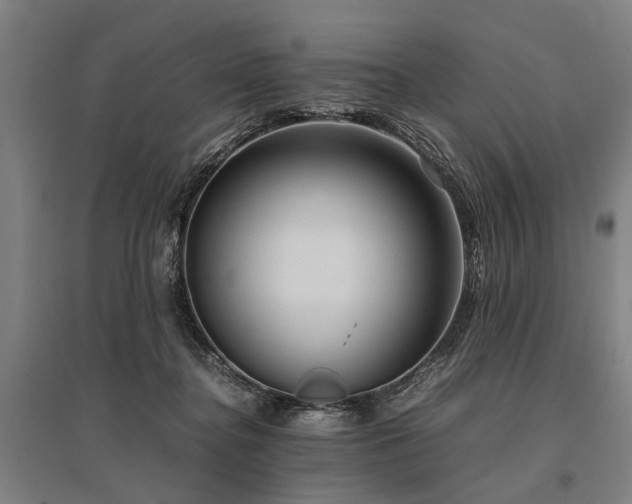 X0000096160364200801181230