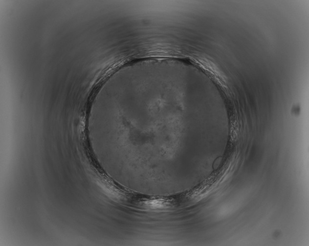 X0000096160365200801181230