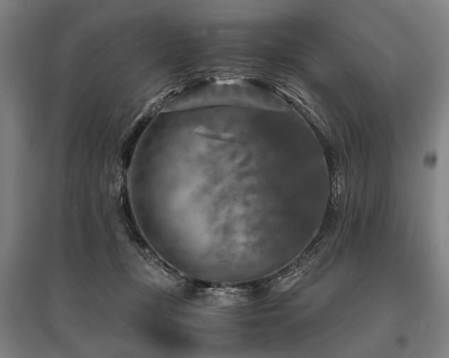 X0000096160367200801181230