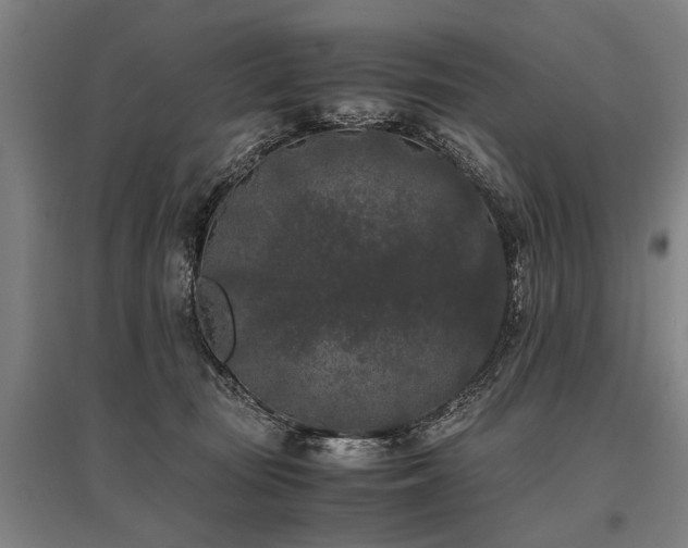 X0000096160371200801181230