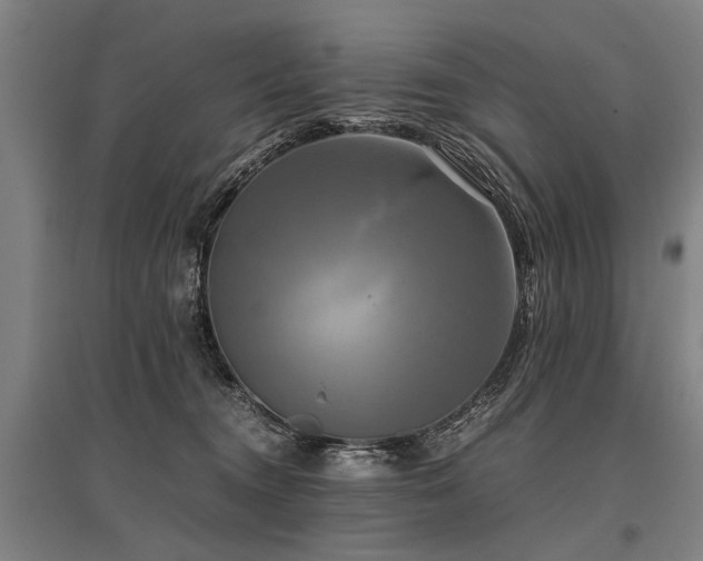X0000096160372200801181230
