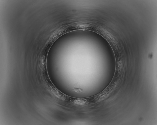 X0000096160373200801181230