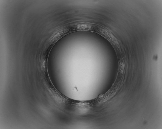 X0000096160375200801181230
