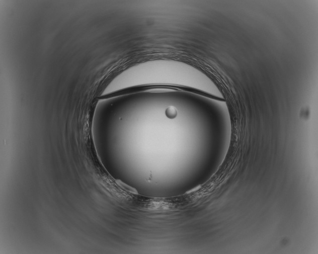 X0000096160376200801181230