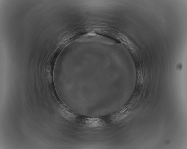 X0000096160377200801181230