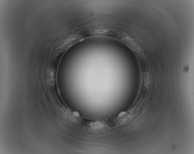 X0000096160378200801181230
