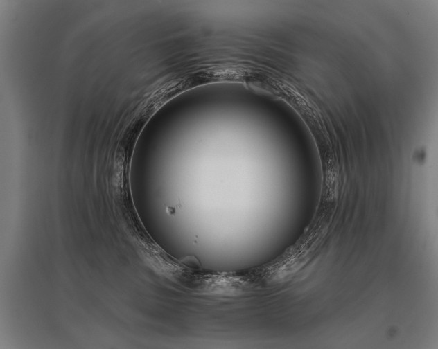 X0000096160379200801181230