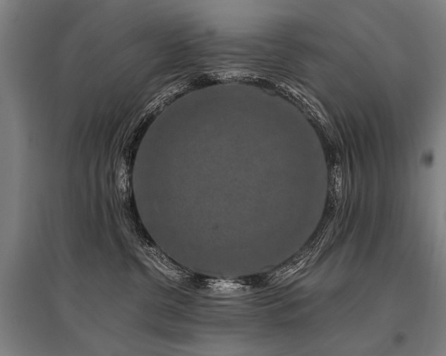X0000096160380200801181230
