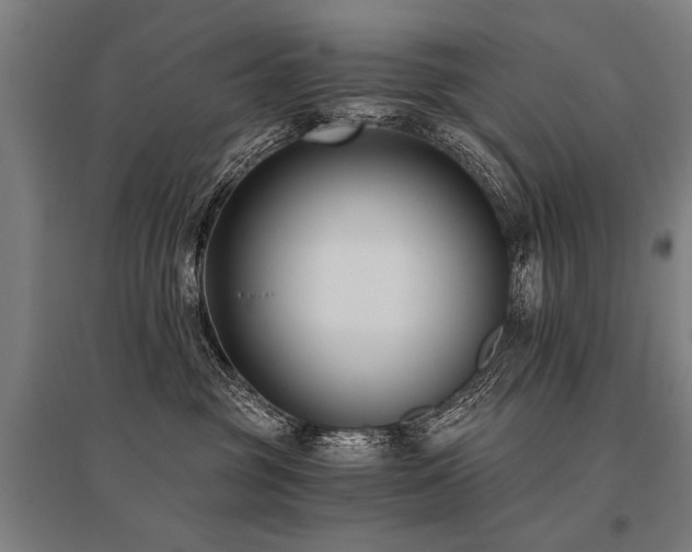 X0000096160381200801181230