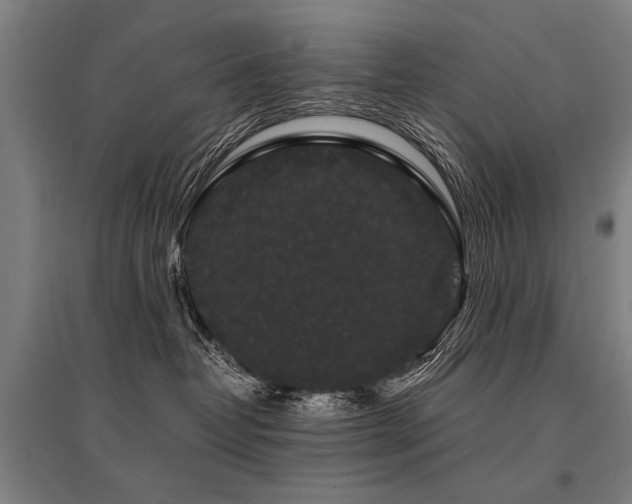 X0000096160382200801181230