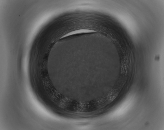 X0000096160383200801181230