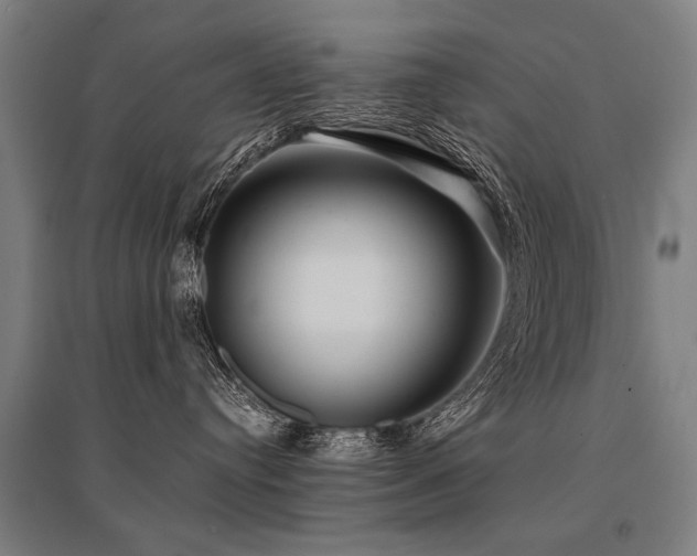 X0000096160384200801181230