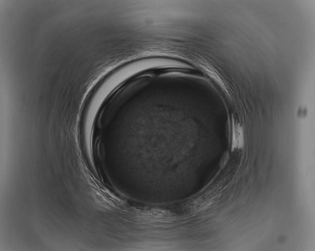 X0000096160387200801181229