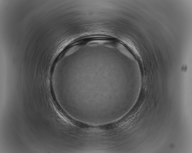 X0000096160389200801181229