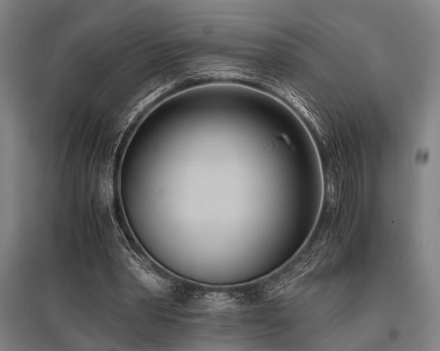 X0000096160390200801181229