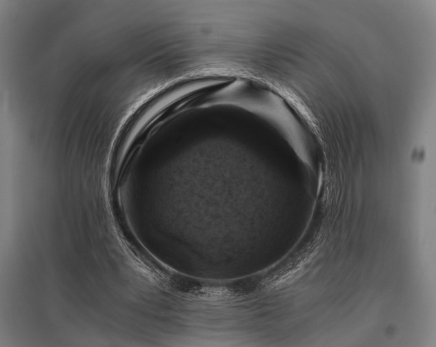 X0000096160391200801181229
