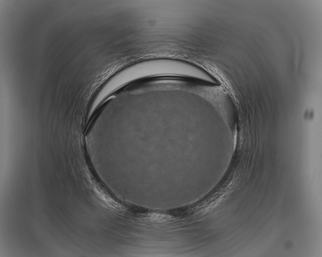 X0000096160393200801181229