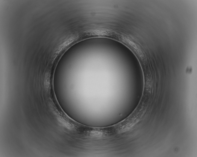 X0000096160394200801181229