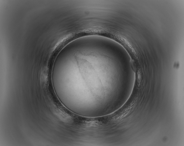 X0000096160396200801181229