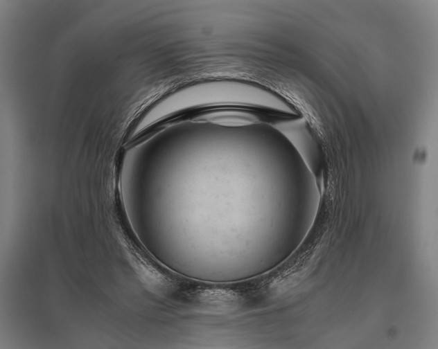 X0000096160397200801181229