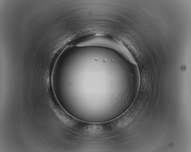 X0000096160398200801181229