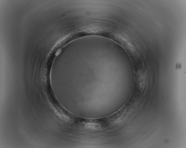 X0000096160400200801181229