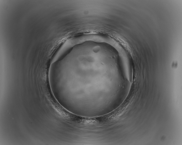 X0000096160401200801181229