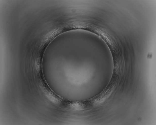 X0000096160402200801181229
