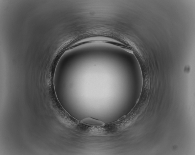 X0000096160403200801181229