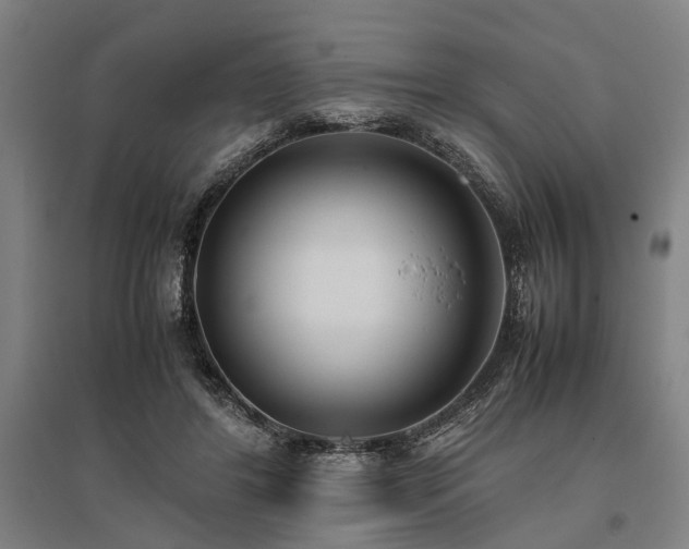 X0000096160404200801181229
