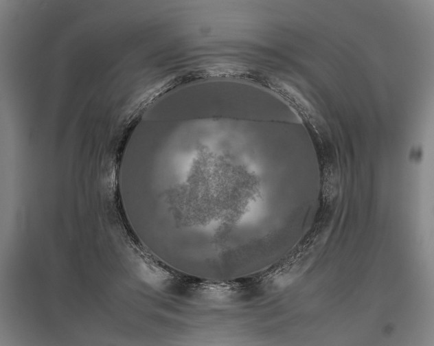 X0000096160405200801181229