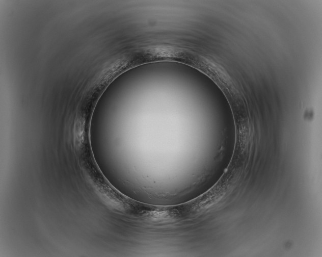 X0000096160406200801181229