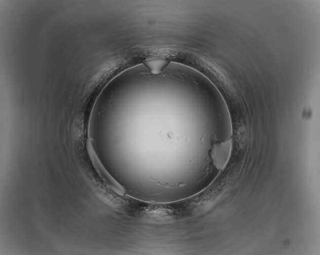 X0000096160407200801181229