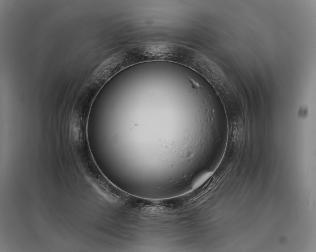 X0000096160408200801181229