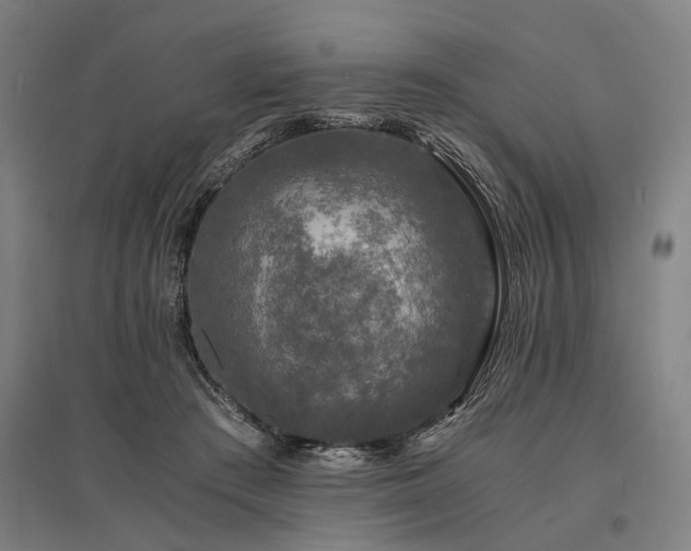 X0000096160409200801181229
