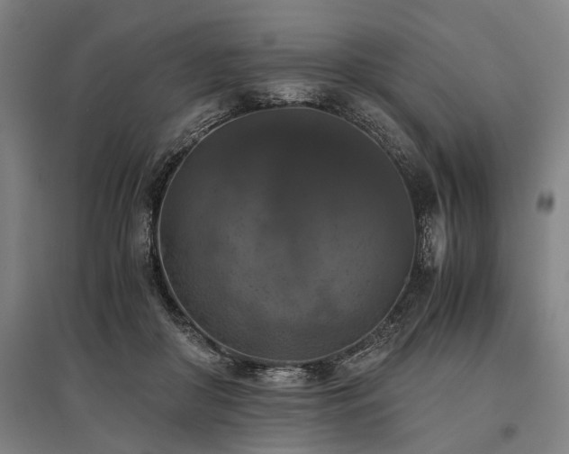 X0000096160410200801181229