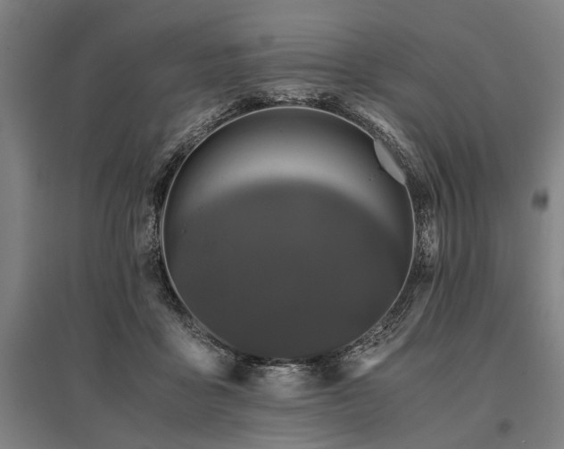 X0000096160411200801181229