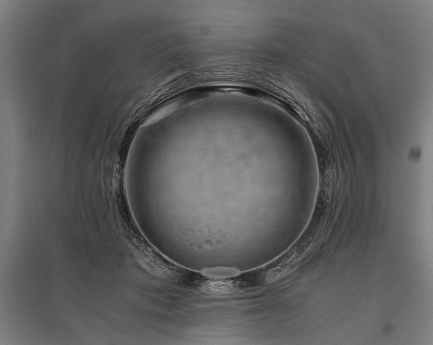 X0000096160413200801181229