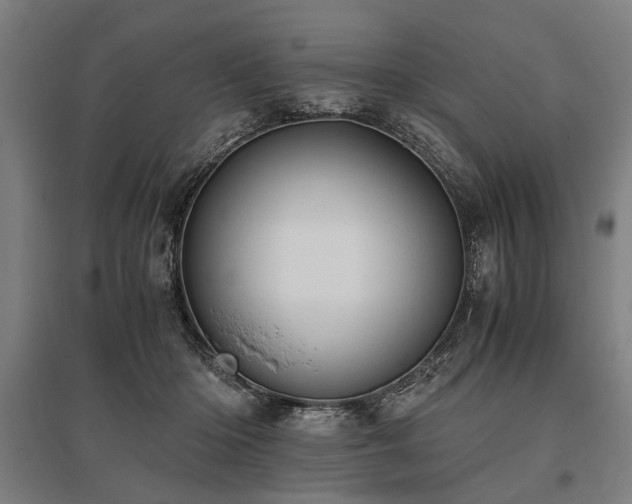 X0000096160414200801181229