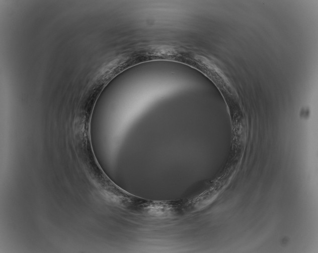 X0000096160415200801181229