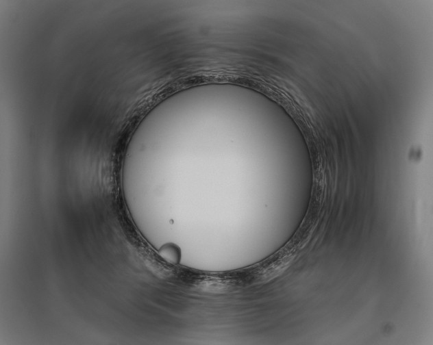 X0000096160416200801181229