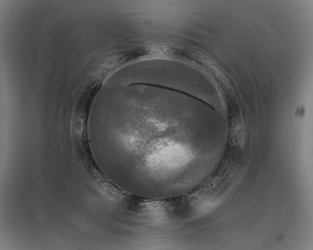 X0000096160417200801181229
