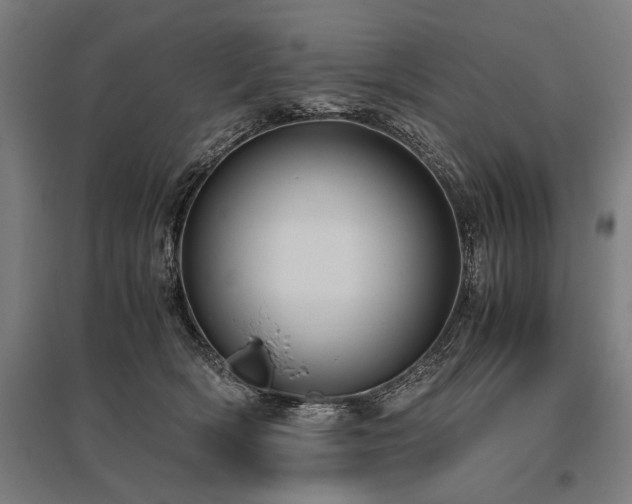 X0000096160418200801181229