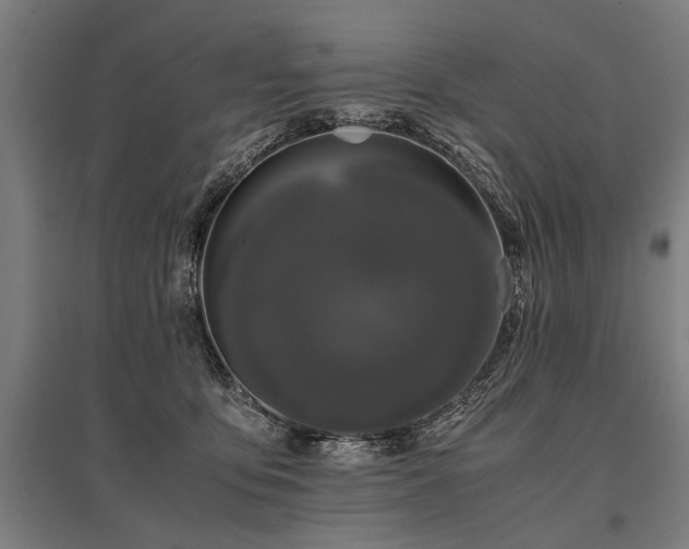 X0000096160419200801181229