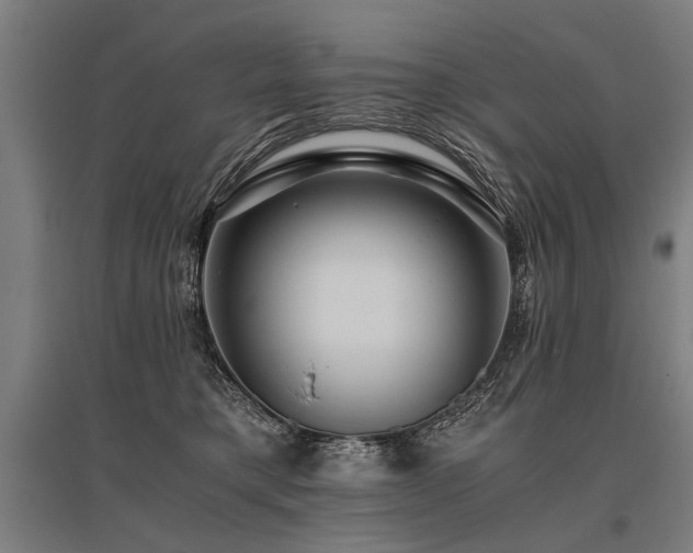 X0000096160421200801181229