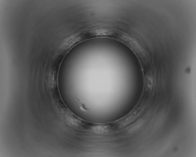 X0000096160422200801181229