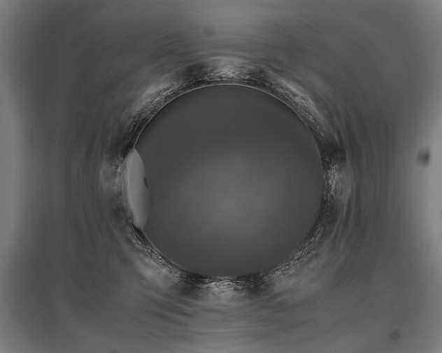 X0000096160423200801181229