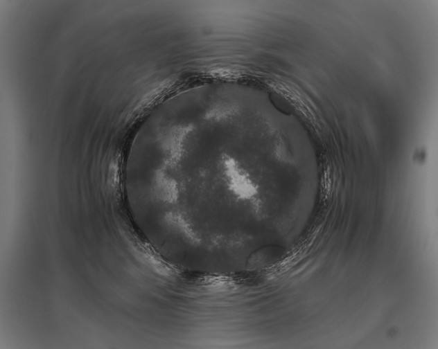 X0000096160424200801181229