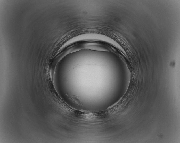X0000096160425200801181229